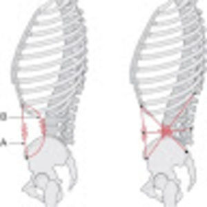 Meet your Posher, Cathleen